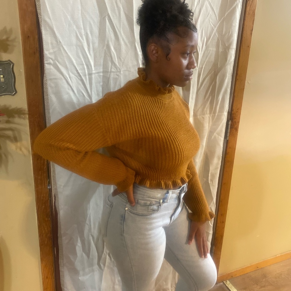 Brown cropped sweater